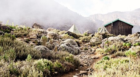Kilimanjaro - Marangu Route mit Zusatztag - Privatreise